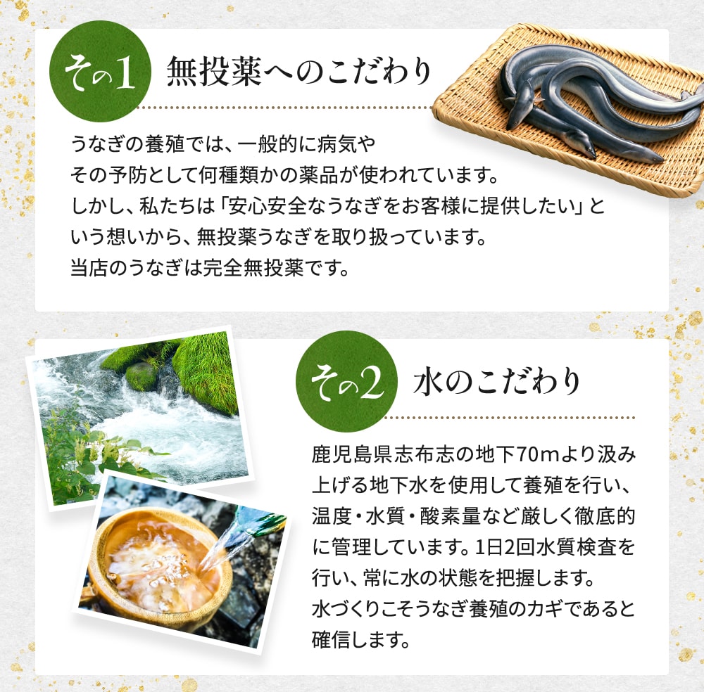 父の日 うなぎ プレゼント ギフト 国産 蒲焼き 2種セット ウナギ 化粧箱 鰻 70代 80代 60代 父の日