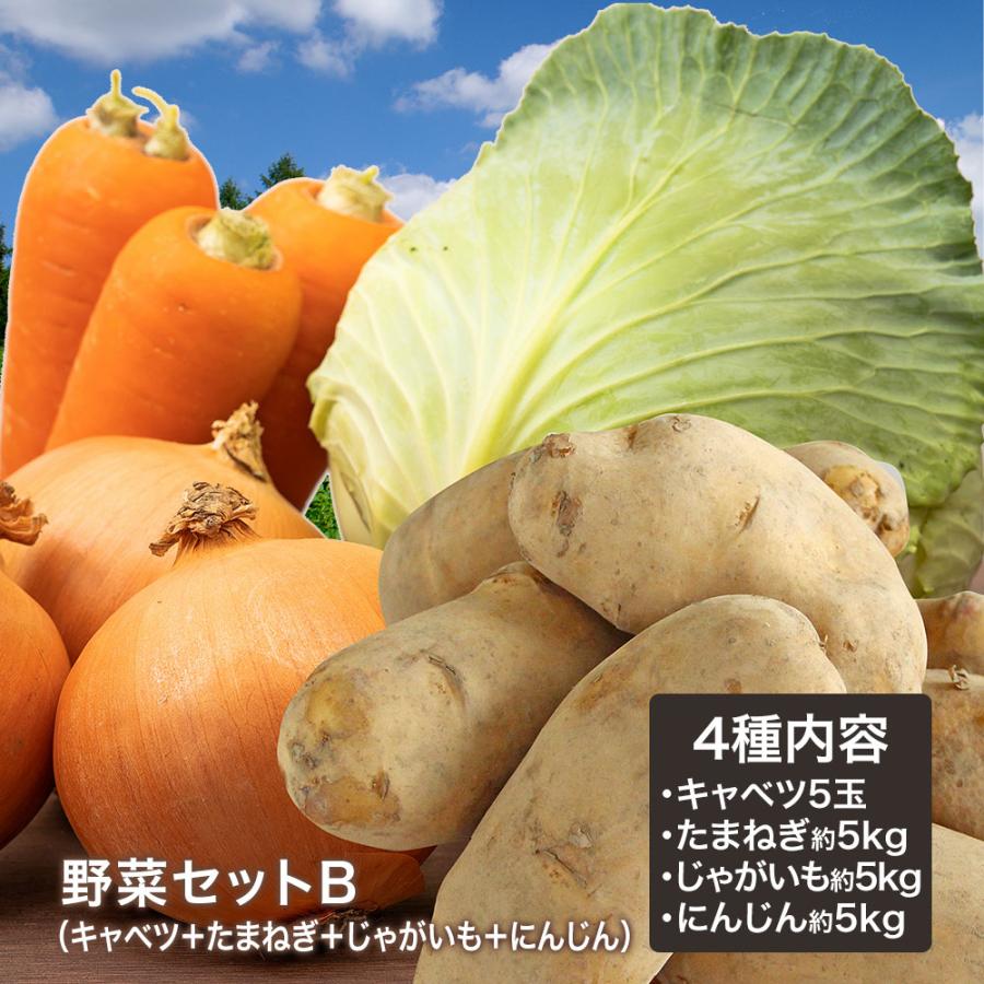 野菜セットB（キャベツ5玉・たまねぎ約5kg・じゃがいも約5kg・にんじん約5kg）4種セット きゃべつ 玉ねぎ ポテト 人参 定番 万能 おうちごはん おうち時間