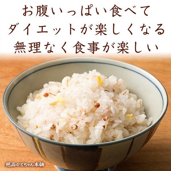 雑穀 雑穀米 糖質制限 究極のダイエット雑穀 900g(450g×2袋) 送料無料 こんにゃく米配合 カロリーカット 豆なし 置き換えダイエット 雑穀米本舗