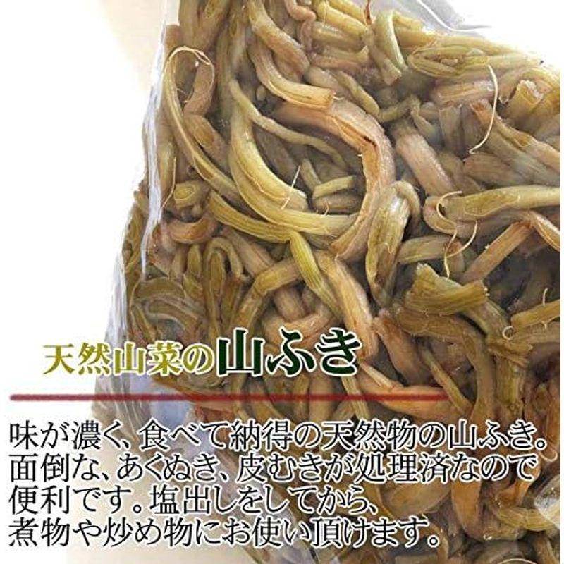 山形県飯豊町産 天然山菜 山ふき塩蔵 1kg