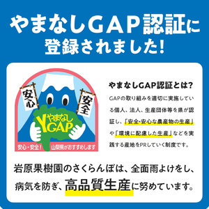 極上品大玉・さくらんぼ 2L～3L一段並 約500g／毎日農業記録賞・全国最優秀賞受賞