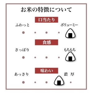 厳選玄米 ミルキークイーン 5kg 玄米 米 お米 