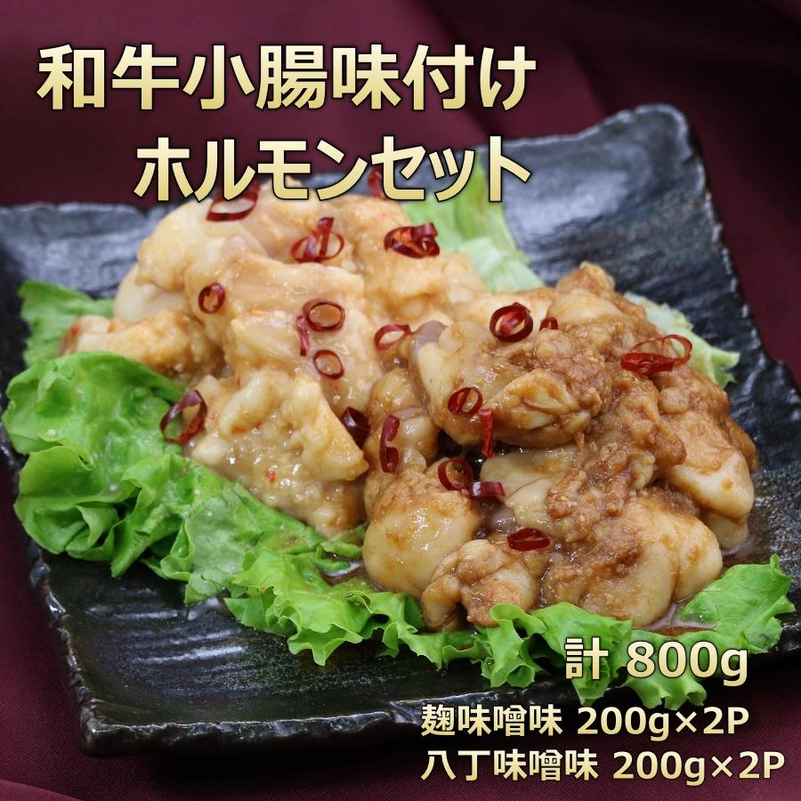 牛小腸 味付け ホルモン セット