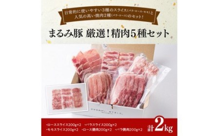 《真空パック》宮崎ブランド豚肉『まるみ豚』厳選！ 精肉５種セット 宮崎県産  国産豚肉 豚 ブランドポーク 豚 豚肉詰め合わせ 豚