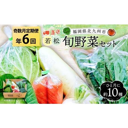 ふるさと納税 新鮮 直送 若松旬野菜セット 定期便 採れたて 旬野菜 福岡県北九州市