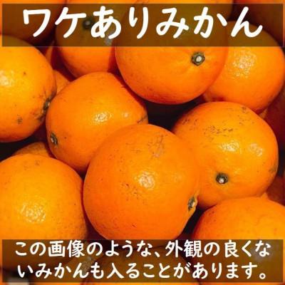 ふるさと納税 湯浅町 和歌山県ありだ産　ワケありみかん10kg×2箱　2L〜3S(サイズおまかせ)