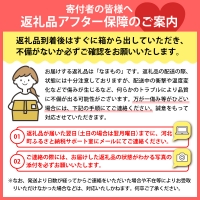 ※2024年発送※山形県産 6種類 旬のフルーツ定期便（計6回） ぶどう 桃 メロン りんご等