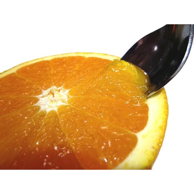 清見オレンジ 9kg  家庭用 訳あり　清見タンゴール 送料無料 清見オレンジ