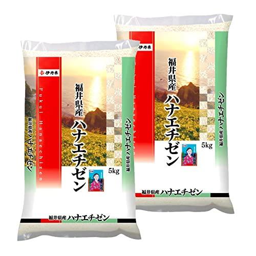 ハナエチゼン 5kg×2袋 福井県産 米 お米 白米 おこめ 華越前 単一原料米 ブランド米 10キロ 国内産 国産 令和4年産 (10kg)