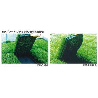 ユニチカ 水稲育苗箱 置床用 不織布 ラブシート ブラック 105cm×100m 20307BKD