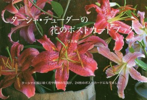 ターシャ・テューダーの花のポストカードブック 写真編 ターシャ・テューダー