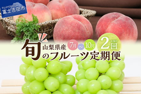 旬のフルーツ 定期便 （ もも ・ シャインマスカット ）  フルーツ シャイン 山梨県産 シャインマスカット 2房 桃 果物 フルーツ くだもの 果実 フルーツ王国 旬 フルーツ 定期便 果物定期便 フルーツ 旬 フルーツ定期便 山梨県 シャインマスカット  フルーツ ピーチ もも フルーツ マスカット  定期便 果実  フルーツ 高級 くだもの 2024年 先行予約 シャインマスカット 大粒 贈答 ギフト シャインマスカット