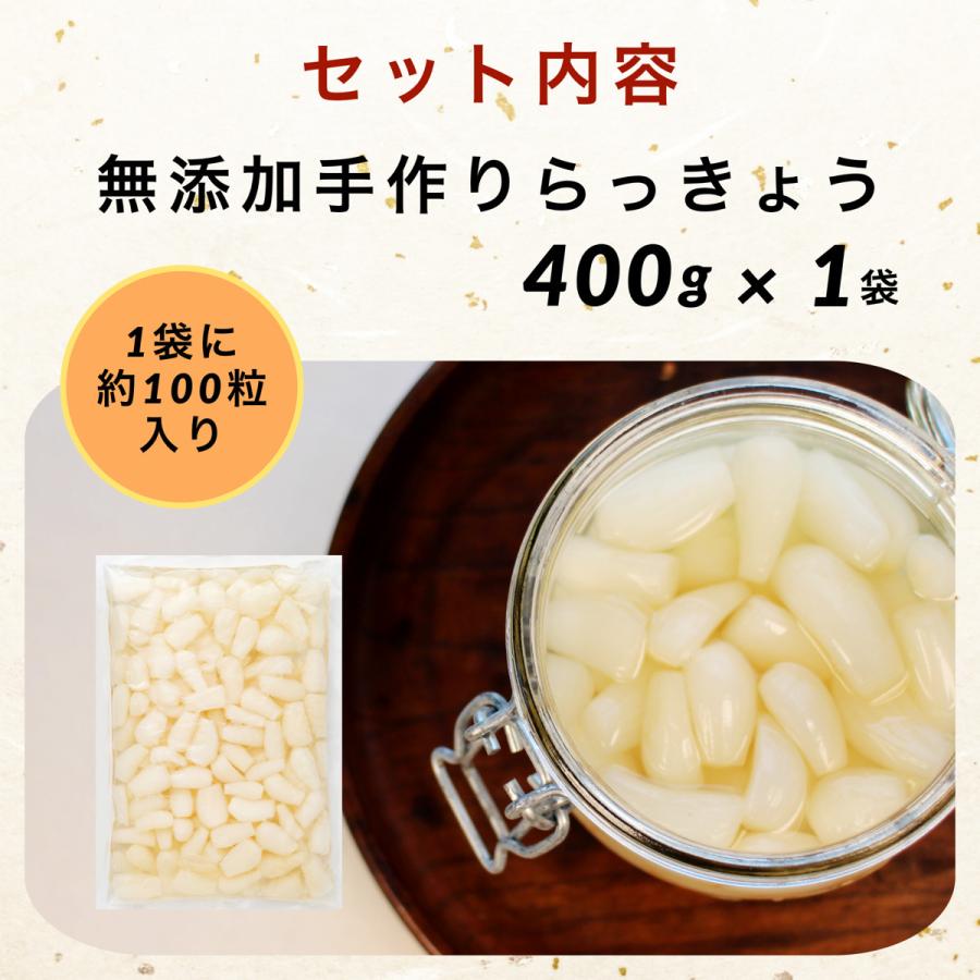 手作り らっきょう 国産 無添加 400g×1袋 下処理済み 塩らっきょう 福井 三里浜 簡単 お試し 洗い らっきょう 無化調 送料無料 