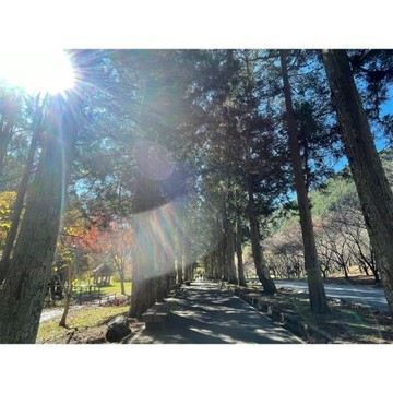 宜蘭旅遊｜秋季追楓前哨戰｜草嶺芒花季.武陵南谷生態.福壽山鴛鴦湖.英仕山莊&福壽山農場3日｜台中出發_26XGYLNEFF