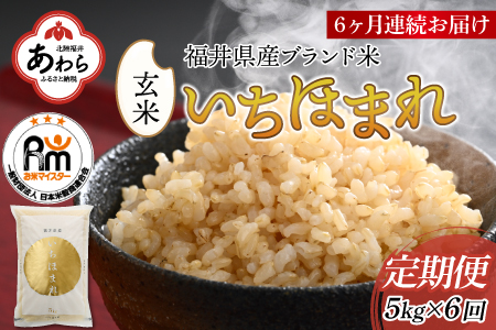 定期便6回 いちほまれ 玄米 5kg×6回（計30kg）《新鮮な高品質米をお届け！》／ 福井県産 ブランド米 ご飯