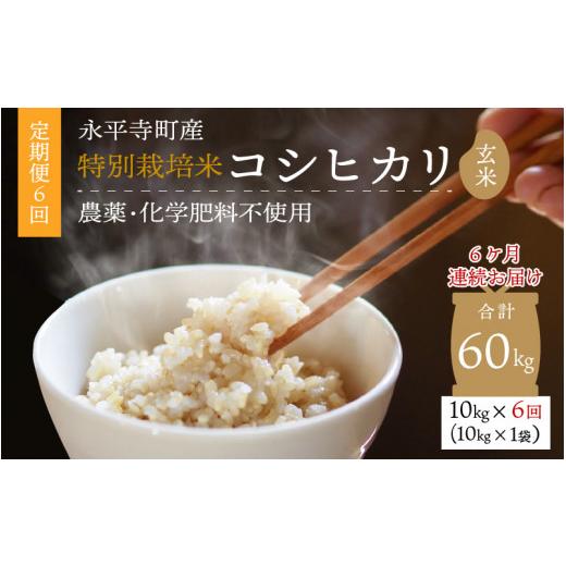 ふるさと納税 福井県 永平寺町  令和5年度産 永平寺町産 農薬不使用・化学肥料不使用 特別栽培米 コシヒカリ 10kg×6ヶ月…