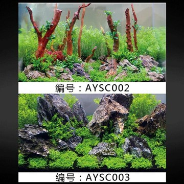 長200公分 水族背景貼紙魚缸背景紙畫3d立體魚缸貼紙【櫻田川島】