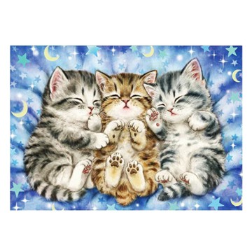 創彩 鑽石畫 ZSD3409 30 x 40cm 睡覺小貓 DIY鑽石畫套裝  睡覺小貓 藍色 + 灰色  1組