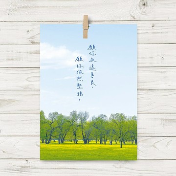 善良堅強 / 明信片 (E5)