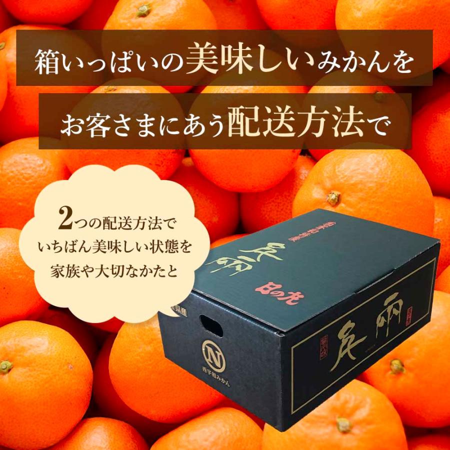 ご希望の着日にお届けします みかん 愛媛 西宇和 期日指定便2S〜Lサイズ 年末 ギフト 温州みかん 贈答品