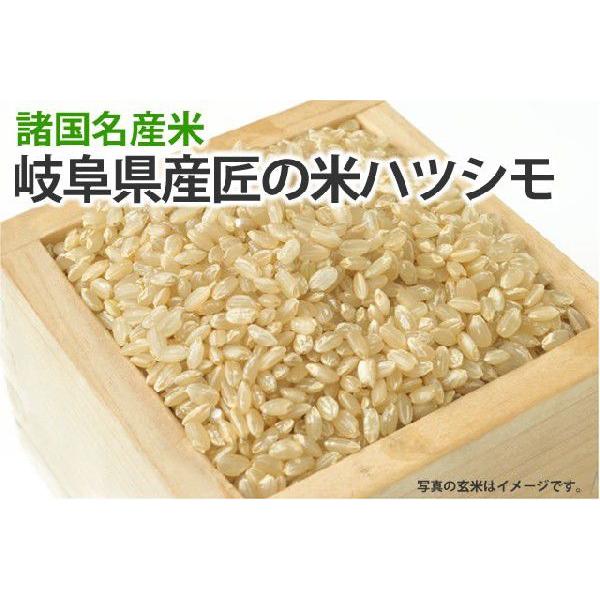 匠の米・岐阜ハツシモ1kg