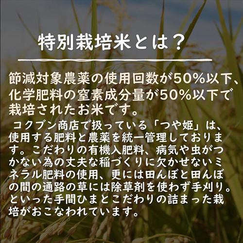 令和4年産 山形県産 米 つや姫 5kg 玄米 お米 産直 産地直送 お土産 観光地応援 ギフト プレゼント コクブン直送