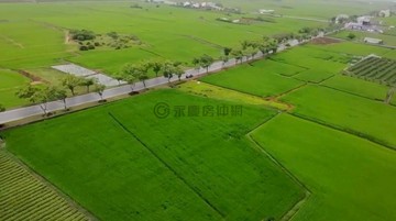 專售-花蓮玉里最美193線旁面寬小農地UE023｜花蓮縣玉里鎮高寮