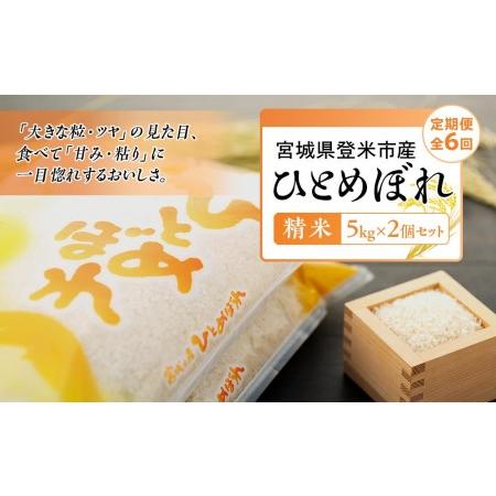 ふるさと納税 令和5年産宮城県登米市産ひとめぼれ精米　５kg×２個セット 宮城県登米市