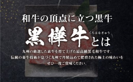 くまもと黒毛和牛 黒樺牛 A4~A5等級 ローススライス すき焼き用 250g 国産 九州 熊本県産 冷凍