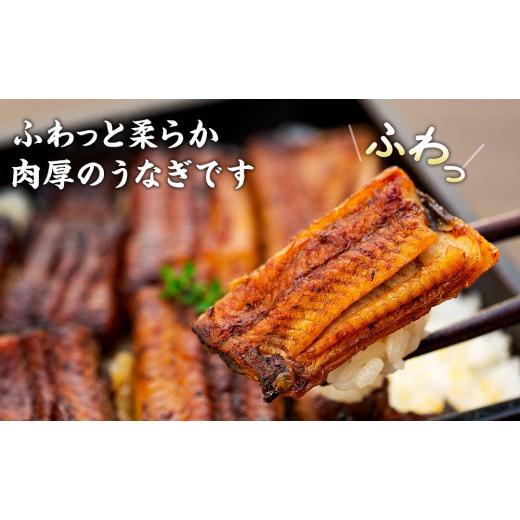 ふるさと納税 山梨県 富士河口湖町 うなぎ割烹 力「職人手焼き蒲焼＆白焼き」セット１４０ｇ