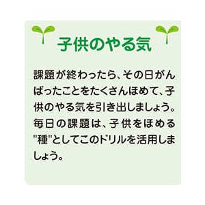 シルバーバック 七田式 知力ドリル 2・3さい ちえやってみよう