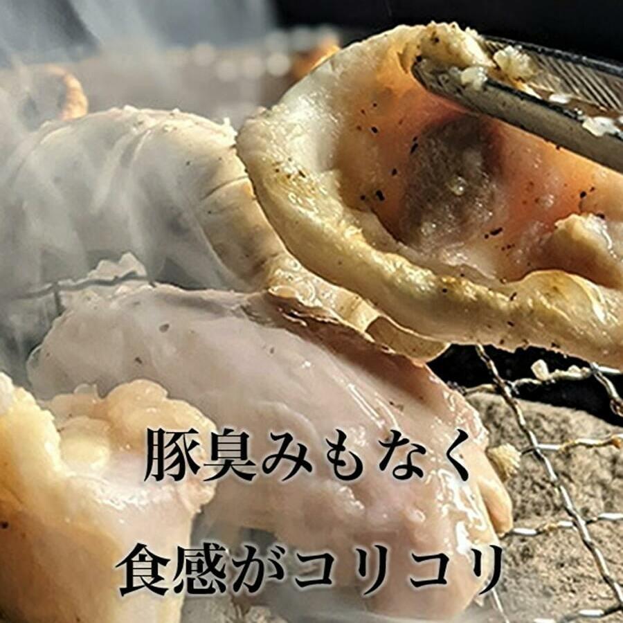 ホルモンミックス500g 塩ホルモンとナンコツ