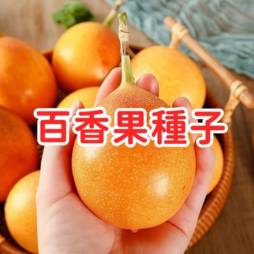 【百香果種子】西番蓮 台灣品種 家庭果園 庭院陽台 爬藤植物 易種好活 觀賞食用 果汁原料 自種自採 多年生 現貨