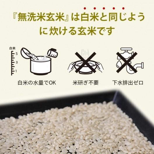 スマート米 青森県産 まっしぐら 精米   節減対象農薬50%以下    5.0kg (令和5年産)