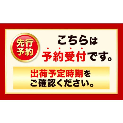 ふるさと納税 熊本県 御船町 熊本県 御船町 掘りたて たけのこ 2kg タケノコ 竹の子 冷蔵 ギフト グルメ 野菜 お祝い 春 筍《2024年3月…