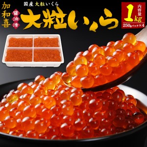 大粒いくら 醤油漬け 1kg (250g×4) 加和喜 イクラ醤油漬け いくらしょうゆ漬け かわき いくら醤油漬け 国産 日本産 魚卵 海鮮 寿司ネタ