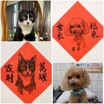 限量開單 客製化 寵物春聯 水墨書法(金點紙)