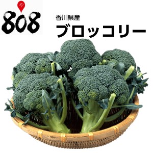 ブロッコリー　1株　約500g旬の味覚 グルメ 野菜 詰め合わせ セット 葉