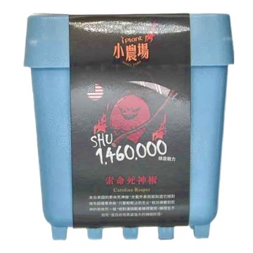 台灣 iPlant 積木農場盆栽  索命死神椒  12.5 x 12.5 x 14cm