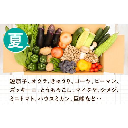 ふるさと納税 野菜定期便 フルーツ・きのこをセット「12回（毎月）」お届け 定期 詰め合わせ フルーツ 定期 旬 きのこ 柑橘 ぶ.. 長崎県南島原市