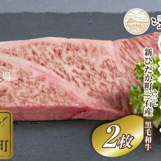 北海道産 黒毛和牛 こぶ黒 A5 サーロインステーキ 計 400g (200g×2枚)