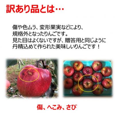 ふるさと納税 伊那市 信州のサンふじ　訳あり　5キロ!(りんご・リンゴ・林檎)