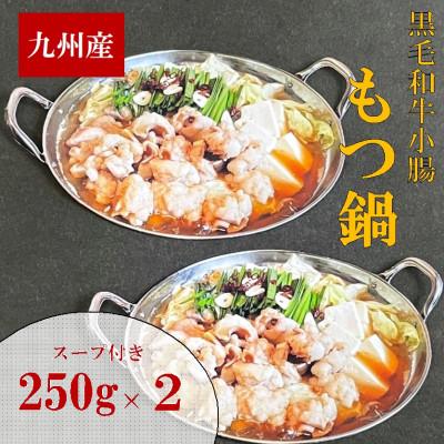 ふるさと納税 筑前町 九州産ぷりぷりの小腸「割烹　もつ鍋セット」(250g×2セット)(筑前町)