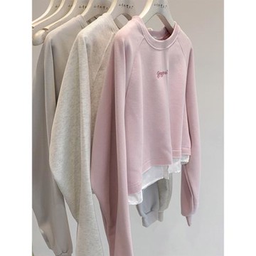 高級感字母刺繡無帽衛衣女2025秋季設計感小眾假兩件短款套頭上衣