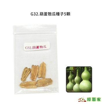 G32.葫蘆匏瓜種子5顆(觀賞用，煮食亦可)果菜類種子【綠藝家】