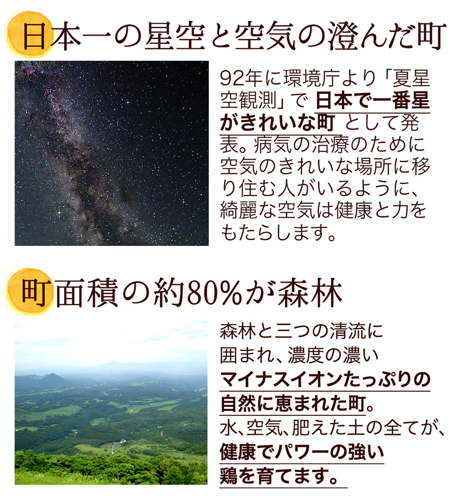 田子たまご村 緑の一番星 10個入