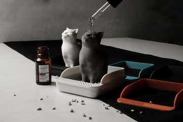 PRINTING LIFE / POOPCAT 貓 擴香石 香氛 送禮 新年 情人節禮盒