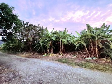 獨家專任東華大學附近都市計畫內農地｜花蓮縣壽豐鄉吳全