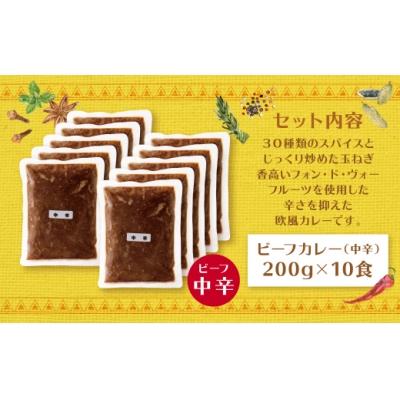 ふるさと納税 福智町 みろくのカレー10食セット(中辛10食)