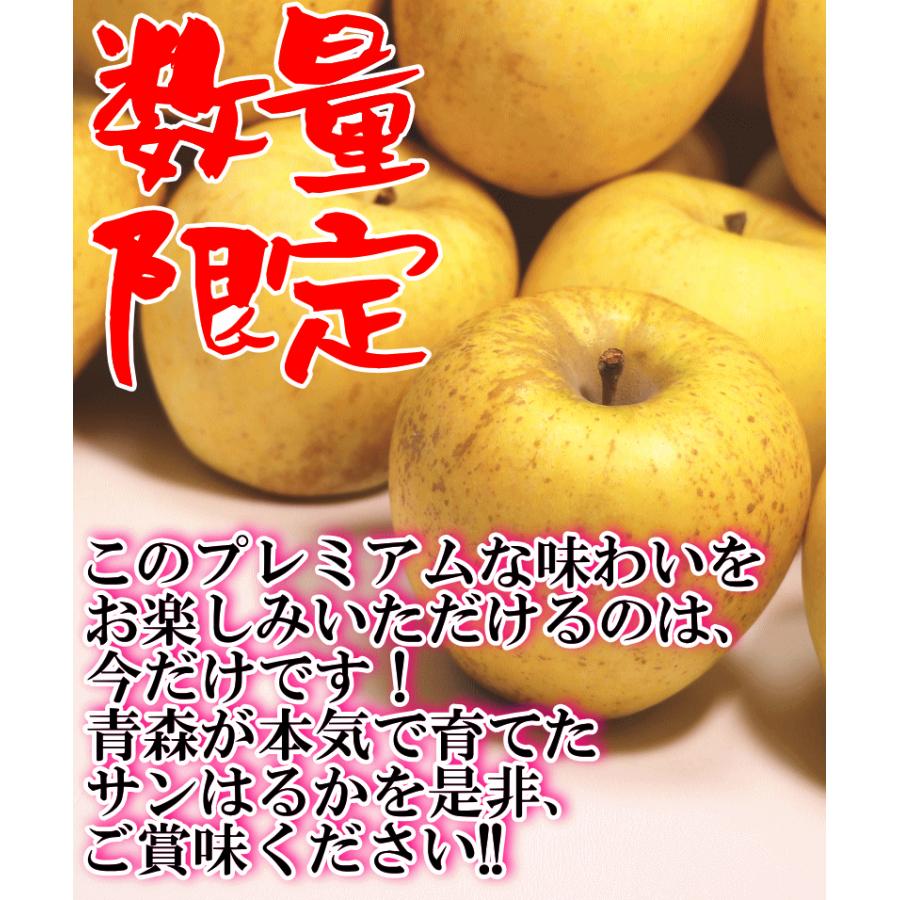 あすつく 青森 りんご 10kg箱 サンはるか 送料無料 家庭用 訳あり 青森 リンゴ 訳あり 10キロ箱★サンはるか 家訳 10kg箱